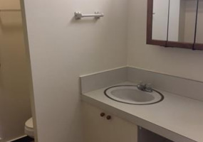 1650 Kanunu Street,Honolulu,Hawaii,96814,1 BathroomBathrooms,Condo/Townhouse,Kanunu,12,18696068