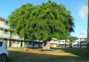 1425 Kaumualii Street,Honolulu,Hawaii,96817,2 ベッドルーム ベッドルーム,1 バスルームバスルーム,コンド / タウンハウス,Kaumualii,3,17490911