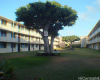 1425 Kaumualii Street,Honolulu,Hawaii,96817,2 ベッドルーム ベッドルーム,1 バスルームバスルーム,コンド / タウンハウス,Kaumualii,3,17490911