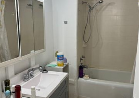 1765 Ala Moana Boulevard,Honolulu,Hawaii,96815,1 Bedroom Bedrooms,1 BathroomBathrooms,Condo/Townhouse,Ala Moana,13,17276324