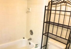 2240 Kuhio Avenue,Honolulu,Hawaii,96815,1 Bedroom Bedrooms,1 BathroomBathrooms,Condo/Townhouse,Kuhio,12,17735872