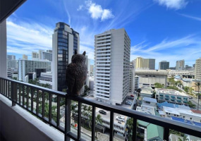 2240 Kuhio Avenue,Honolulu,Hawaii,96815,1 Bedroom Bedrooms,1 BathroomBathrooms,Condo/Townhouse,Kuhio,12,17735872