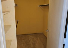 1650 Ala Moana Boulevard,Honolulu,Hawaii,96815,2 Bedrooms Bedrooms,2 BathroomsBathrooms,Condo/Townhouse,Ala Moana,24,17743179