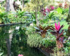 300 Wai Nani Way,Honolulu,Hawaii,96815,2 Bedrooms Bedrooms,2 BathroomsBathrooms,Condo/Townhouse,Wai Nani,18,17761078