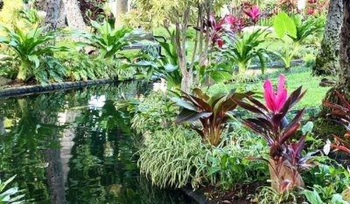 300 Wai Nani Way,Honolulu,Hawaii,96815,2 Bedrooms Bedrooms,2 BathroomsBathrooms,Condo/Townhouse,Wai Nani,18,17761078