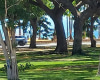 134 Kapahulu Avenue,Honolulu,Hawaii,96815,1 バスルームバスルーム,コンド / タウンハウス,Kapahulu,4,18871585