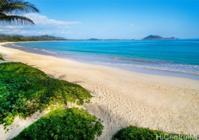 200 Kalaheo Avenue,Kailua,Hawaii,96734,4 ベッドルーム ベッドルーム,4 バスルームバスルーム,一戸建て,Kalaheo,18271227