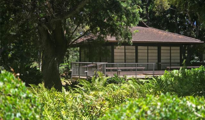 1511 Nuuanu Avenue,Honolulu,Hawaii,96817,1 ベッドルーム ベッドルーム,1 バスルームバスルーム,コンド / タウンハウス,Nuuanu,7,18953497