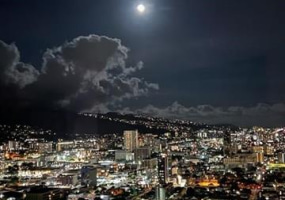 888 Kapiolani Boulevard,Honolulu,Hawaii,96813,3 ベッドルーム ベッドルーム,3 バスルームバスルーム,コンド / タウンハウス,Kapiolani,45,17822421