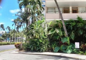 1720 Ala Moana Boulevard,Honolulu,Hawaii,96815,1 Bedroom Bedrooms,1 BathroomBathrooms,Condo/Townhouse,Ala Moana,2,17404922