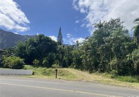47-427 Ahuimanu Place,Kaneohe,Hawaii,96744,3 ベッドルーム ベッドルーム,2 バスルームバスルーム,一戸建て,Ahuimanu,17828250