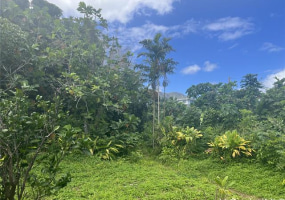 47-427 Ahuimanu Place,Kaneohe,Hawaii,96744,3 ベッドルーム ベッドルーム,2 バスルームバスルーム,一戸建て,Ahuimanu,17828250