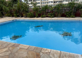 269 Kaialii Place,Honolulu,Hawaii,96821,6 Bedrooms Bedrooms,6 BathroomsBathrooms,Single family,Kaialii,16704770