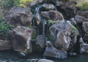 1212 Nuuanu Avenue,Honolulu,Hawaii,96817,1 Bedroom Bedrooms,1 BathroomBathrooms,Condo/Townhouse,Nuuanu,37,18520019