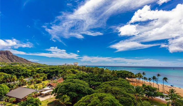 134 Kapahulu Avenue,Honolulu,Hawaii,96815,1 BathroomBathrooms,Condo/Townhouse,Kapahulu,9,19058755