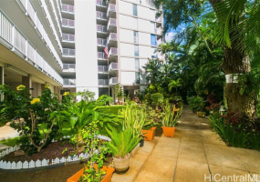 1617 Keeaumoku Street,Honolulu,Hawaii,96822,2 ベッドルーム ベッドルーム,1 バスルームバスルーム,コンド / タウンハウス,Keeaumoku,4,17888665