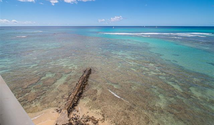 2801 Coconut Avenue,Honolulu,Hawaii,96815,2 Bedrooms Bedrooms,2 BathroomsBathrooms,Condo/Townhouse,Coconut,4,17892857