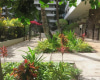 425 Ena Road,Honolulu,Hawaii,96815,1 ベッドルーム ベッドルーム,1 バスルームバスルーム,コンド / タウンハウス,Ena,11,19049265