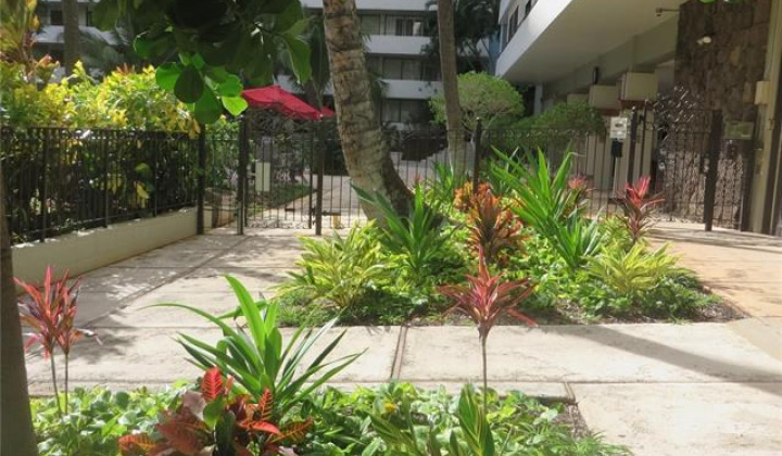425 Ena Road,Honolulu,Hawaii,96815,1 ベッドルーム ベッドルーム,1 バスルームバスルーム,コンド / タウンハウス,Ena,11,19049265