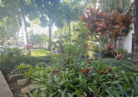 300 Wai Nani Way,Honolulu,Hawaii,96815,1 ベッドルーム ベッドルーム,1 バスルームバスルーム,コンド / タウンハウス,Wai Nani,21,17907146