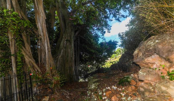 654 Judd Street,Honolulu,Hawaii,96817,3 Bedrooms Bedrooms,2 BathroomsBathrooms,Single family,Judd,19076973