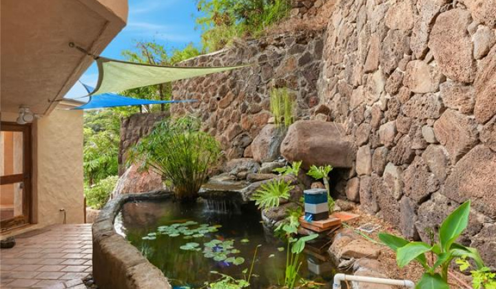 3210 Diamond Head Road,Honolulu,Hawaii,96815,3 Bedrooms Bedrooms,3 BathroomsBathrooms,Single family,Diamond Head,19064948