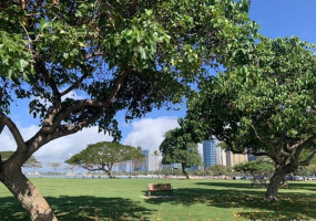410 Atkinson Drive,Honolulu,Hawaii,96814,1 BathroomBathrooms,Condo/Townhouse,Atkinson,6,17926580