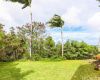 45- 001 Lilipuna Road,Kaneohe,Hawaii,96744,4 ベッドルーム ベッドルーム,4 バスルームバスルーム,一戸建て,Lilipuna,19084014