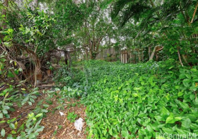 45-173 Lilipuna Road,Kaneohe,Hawaii,96744,10 ベッドルーム ベッドルーム,4 バスルームバスルーム,一戸建て,Lilipuna,17945466