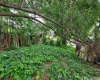 45-173 Lilipuna Road,Kaneohe,Hawaii,96744,10 ベッドルーム ベッドルーム,4 バスルームバスルーム,一戸建て,Lilipuna,17945466