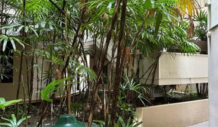 1441 Piikoi Street,Honolulu,Hawaii,96822,1 バスルームバスルーム,コンド / タウンハウス,Piikoi,2,17947100