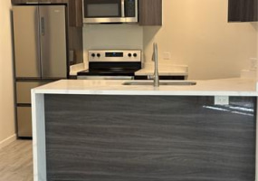 1441 Piikoi Street,Honolulu,Hawaii,96822,1 バスルームバスルーム,コンド / タウンハウス,Piikoi,2,17947100