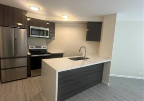 1441 Piikoi Street,Honolulu,Hawaii,96822,1 バスルームバスルーム,コンド / タウンハウス,Piikoi,2,17947100