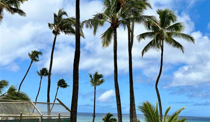 2895 Kalakaua Avenue,Honolulu,Hawaii,96815,1 ベッドルーム ベッドルーム,1 バスルームバスルーム,コンド / タウンハウス,Kalakaua,2,17949738