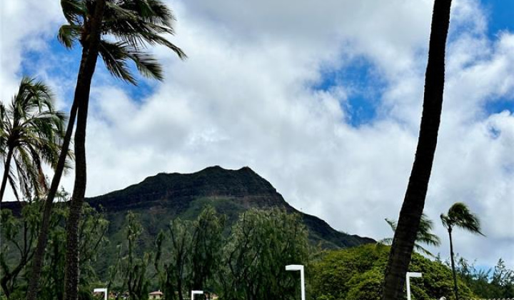 2895 Kalakaua Avenue,Honolulu,Hawaii,96815,1 ベッドルーム ベッドルーム,1 バスルームバスルーム,コンド / タウンハウス,Kalakaua,2,17949738