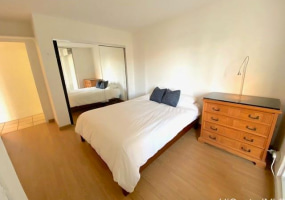2115 Ala Wai Boulevard,Honolulu,Hawaii,96815,1 Bedroom Bedrooms,1 BathroomBathrooms,Condo/Townhouse,Ala Wai,11,17952164