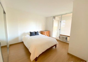 2115 Ala Wai Boulevard,Honolulu,Hawaii,96815,1 Bedroom Bedrooms,1 BathroomBathrooms,Condo/Townhouse,Ala Wai,11,17952164