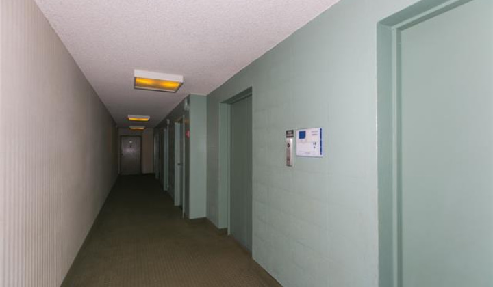 2115 Ala Wai Boulevard,Honolulu,Hawaii,96815,1 Bedroom Bedrooms,1 BathroomBathrooms,Condo/Townhouse,Ala Wai,11,17952164