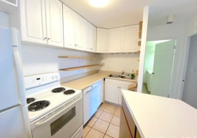 2115 Ala Wai Boulevard,Honolulu,Hawaii,96815,1 Bedroom Bedrooms,1 BathroomBathrooms,Condo/Townhouse,Ala Wai,11,17952164