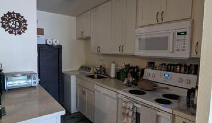 435 Seaside Avenue,Honolulu,Hawaii,96815,1 ベッドルーム ベッドルーム,1 バスルームバスルーム,コンド / タウンハウス,Seaside,8,17964216