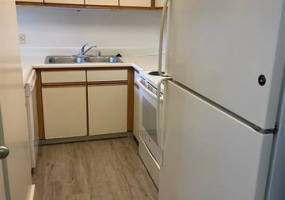 876 Curtis Street,Honolulu,Hawaii,96813,1 Bedroom Bedrooms,1 BathroomBathrooms,Condo/Townhouse,Curtis,33,17990103