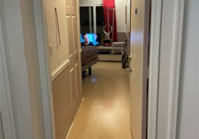 2463 Kuhio Avenue,Honolulu,Hawaii,96815,1 バスルームバスルーム,コンド / タウンハウス,Kuhio,11,18474929