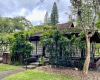 1511 Nuuanu Avenue,Honolulu,Hawaii,96817,1 ベッドルーム ベッドルーム,1 バスルームバスルーム,コンド / タウンハウス,Nuuanu,5,18483135