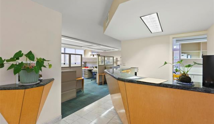 222 Vineyard Street,Honolulu,Hawaii,96813,1 バスルームバスルーム,コンド / タウンハウス,Vineyard,8,19211366