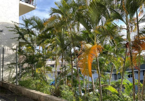 1019 Maunaihi Place,Honolulu,Hawaii,96822,1 ベッドルーム ベッドルーム,1 バスルームバスルーム,コンド / タウンハウス,Maunaihi,2,18021311