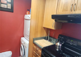2410 Cleghorn Street,Honolulu,Hawaii,96815,1 Bedroom Bedrooms,1 BathroomBathrooms,Condo/Townhouse,Cleghorn,15,18027901