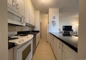 1778 Ala Moana Boulevard,Honolulu,Hawaii,96815,1 Bedroom Bedrooms,1 BathroomBathrooms,Condo/Townhouse,Ala Moana,10,18041740