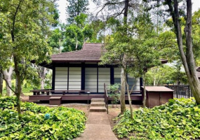 1515 Nuuanu Avenue,Honolulu,Hawaii,96817,1 Bedroom Bedrooms,1 BathroomBathrooms,Condo/Townhouse,Nuuanu,23,18042168