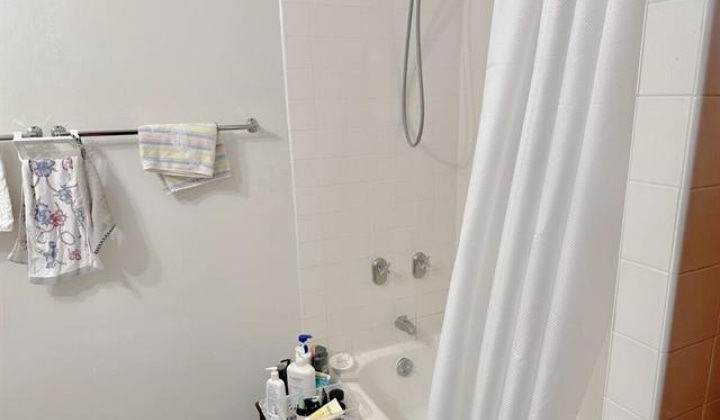 1519 Nuuanu Avenue,Honolulu,Hawaii,96817,1 Bedroom Bedrooms,1 BathroomBathrooms,Condo/Townhouse,Nuuanu,5,18043978