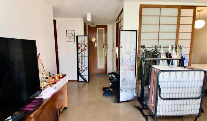 1519 Nuuanu Avenue,Honolulu,Hawaii,96817,1 Bedroom Bedrooms,1 BathroomBathrooms,Condo/Townhouse,Nuuanu,5,18043978